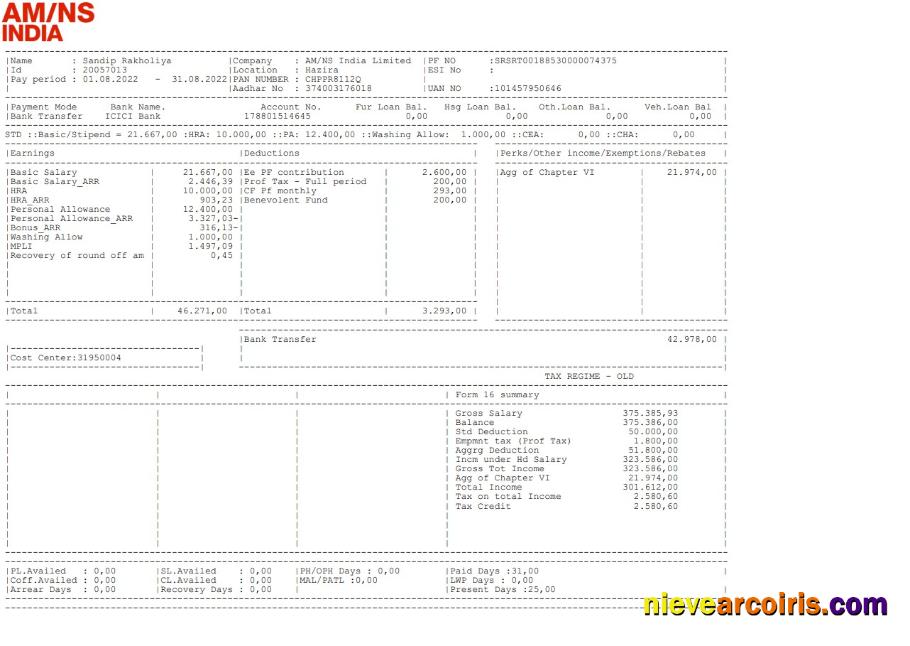 AM NS India Paystub